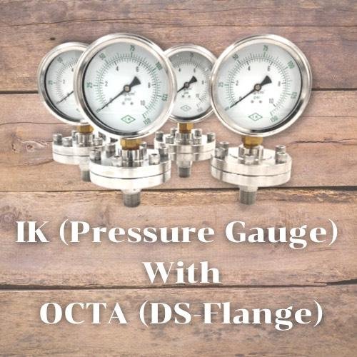 Pressure gauge IK  with Diaphragm Octa (Flange)