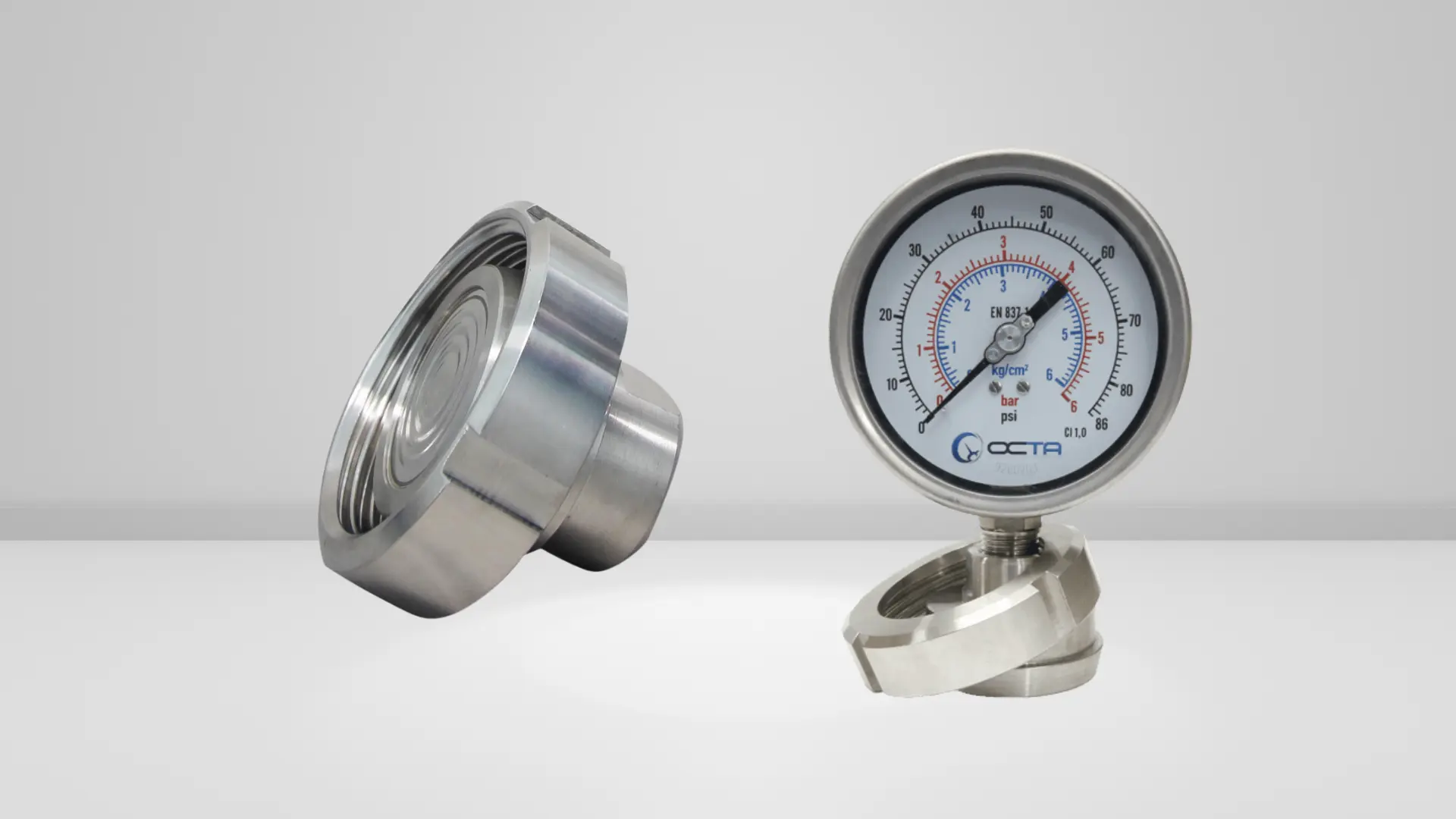 DS-Union Diaphragm Seal